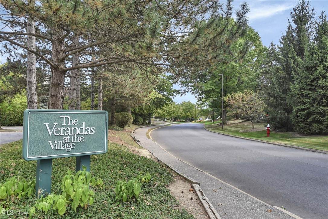 26101 Village Lane - Photo 1