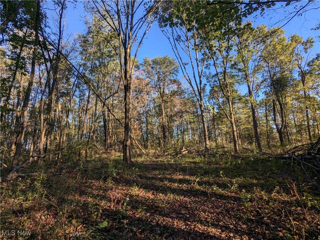  Forbes Road - Photo 1