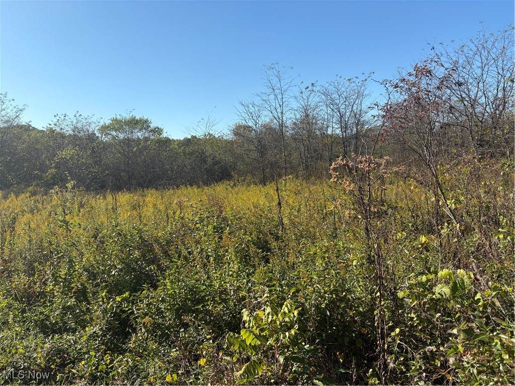  Wheeling Rd - Photo 1