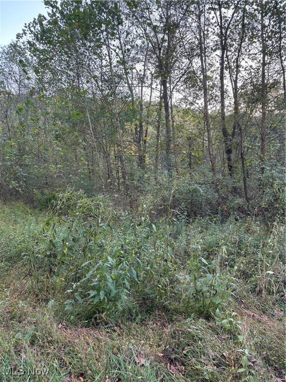 0 Lickskillet Road Road - Photo 1