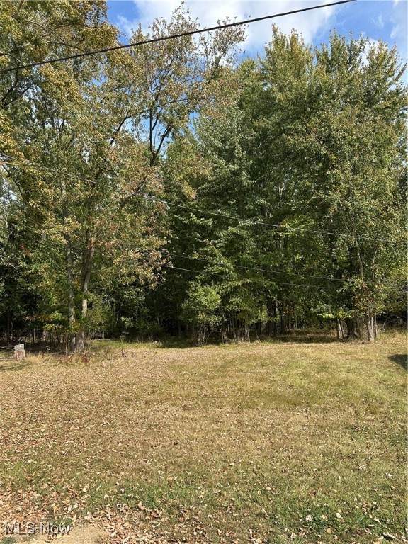  Walnut Drive - Photo 1