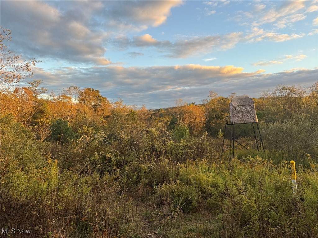 6142 Steubenville Road - Photo 1