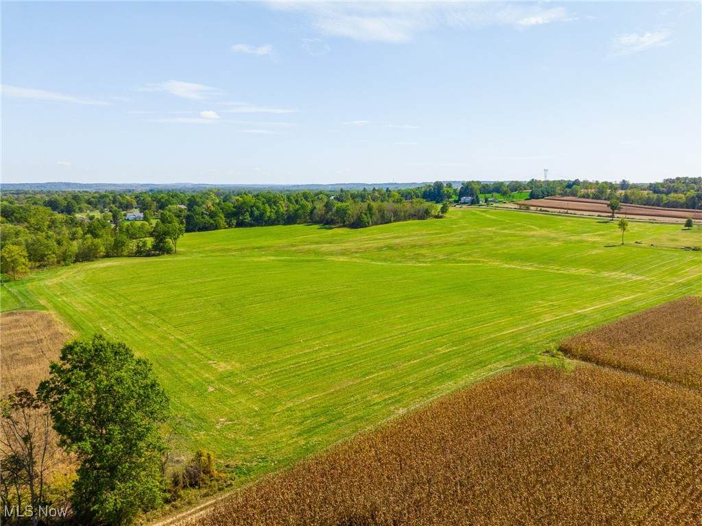 11756 Elton Street - Photo 1