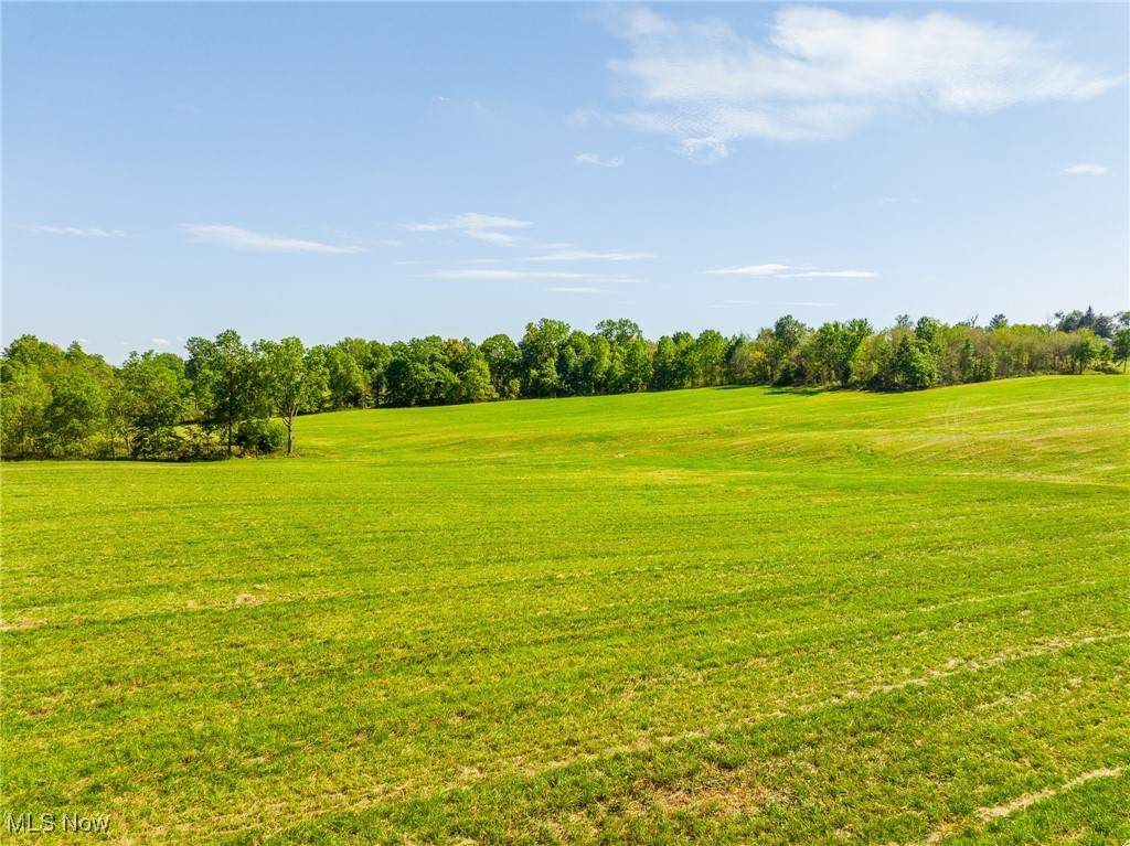 11756 Elton Street - Photo 1