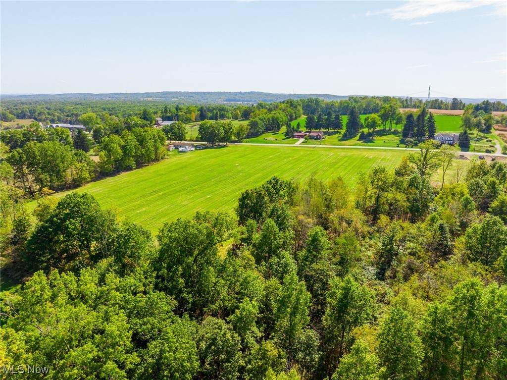 11756 Elton Street - Photo 1