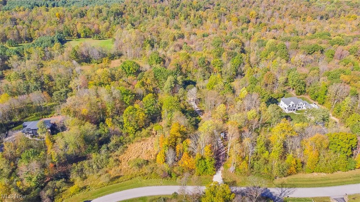 15370 Fedeli Lane - Photo 1