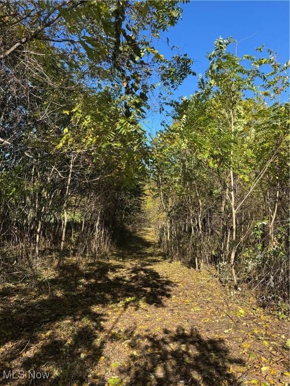  F B Eye Road - Photo 1