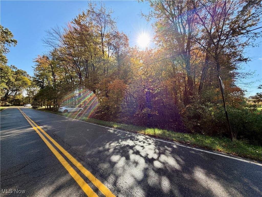  Huckleberry Street - Photo 1