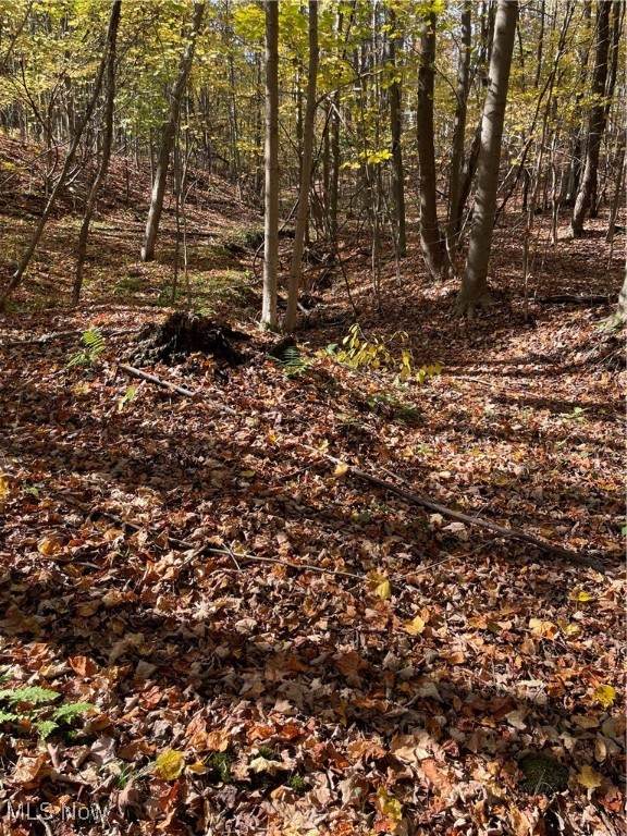  S/L 5 Big Creek Ridge - Photo 1