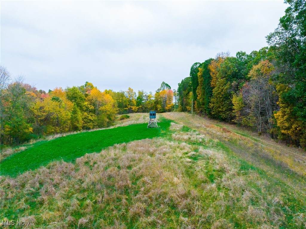 6400 Kings Ridge Road - Photo 1