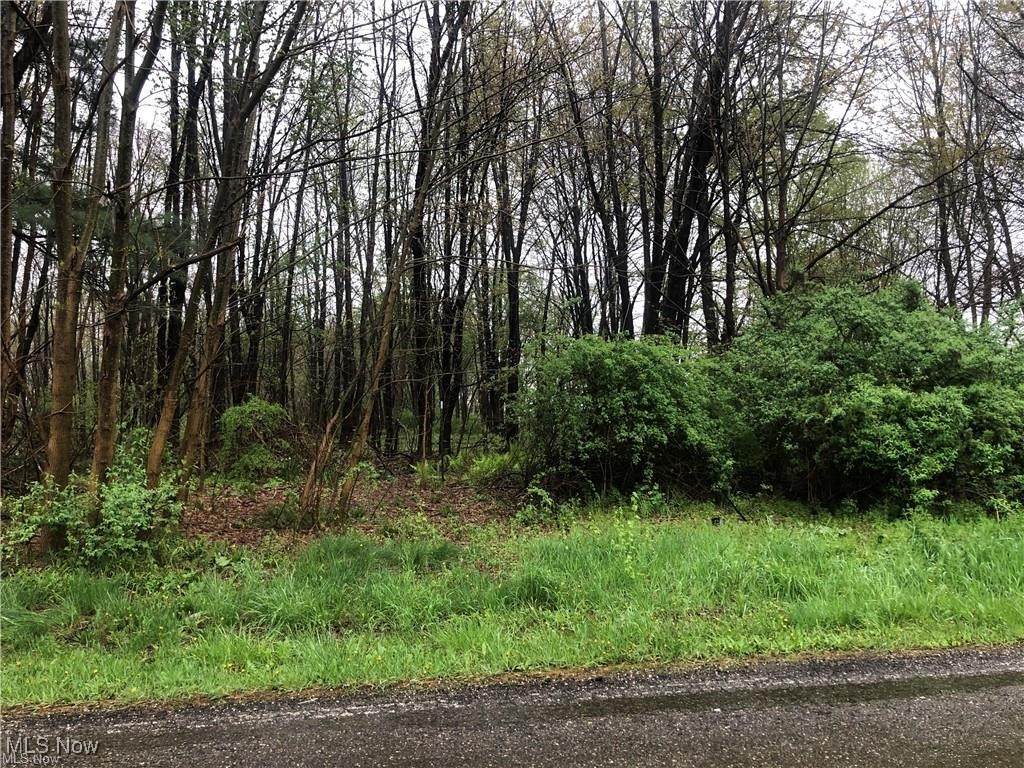 8817 Pleasantwood Avenue - Photo 1