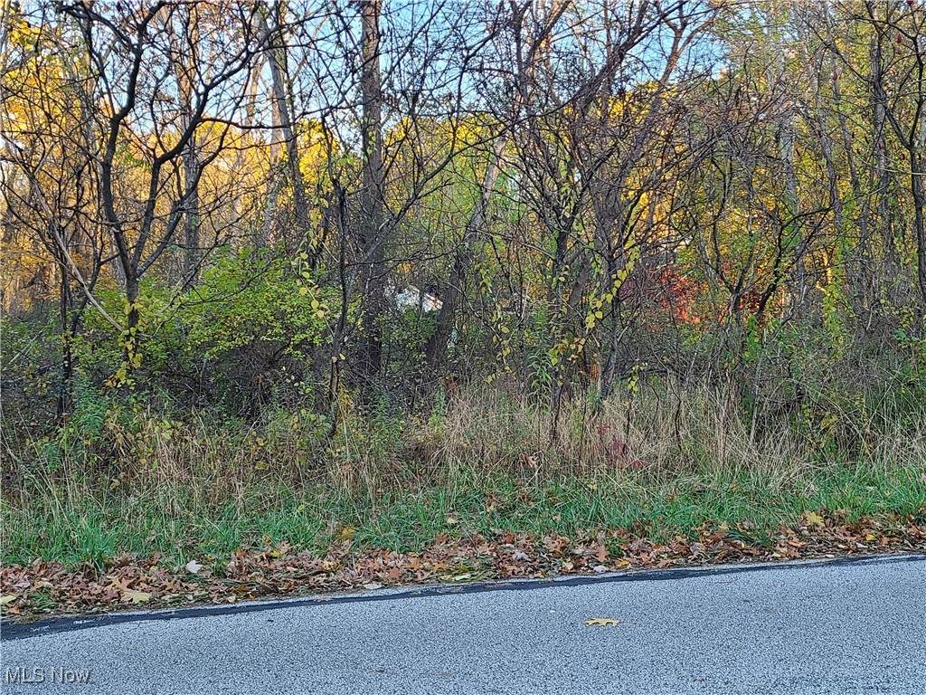 6318 First Avenue - Photo 1