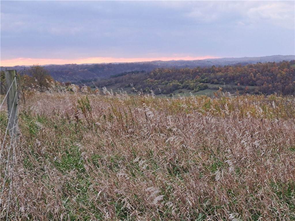 0 Winstead Road - Photo 1