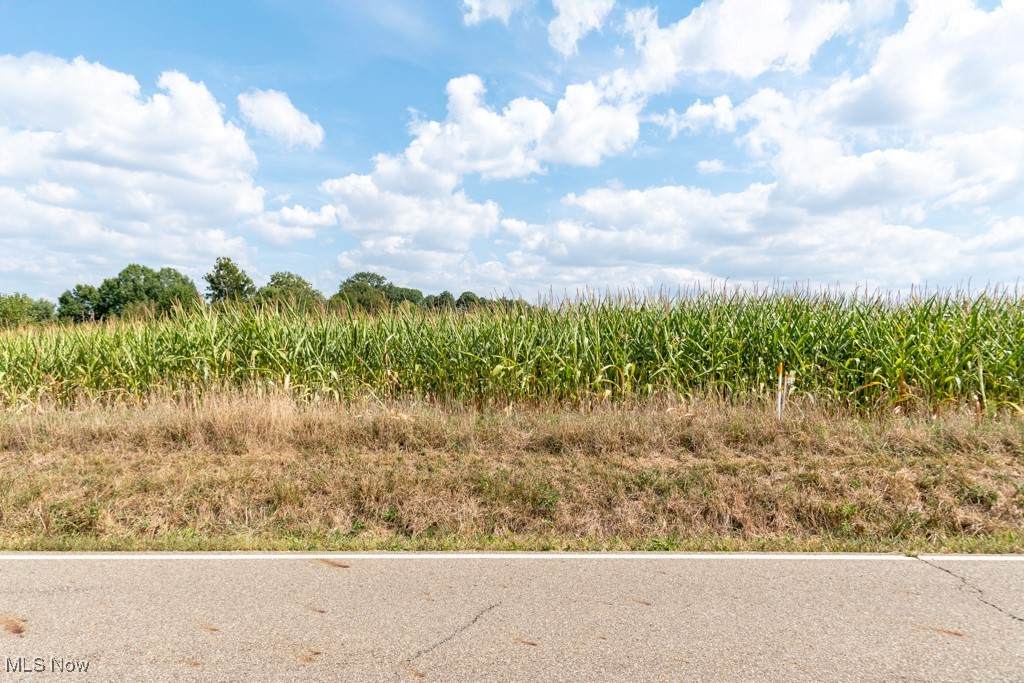  Crystal Lake Avenue - Photo 1