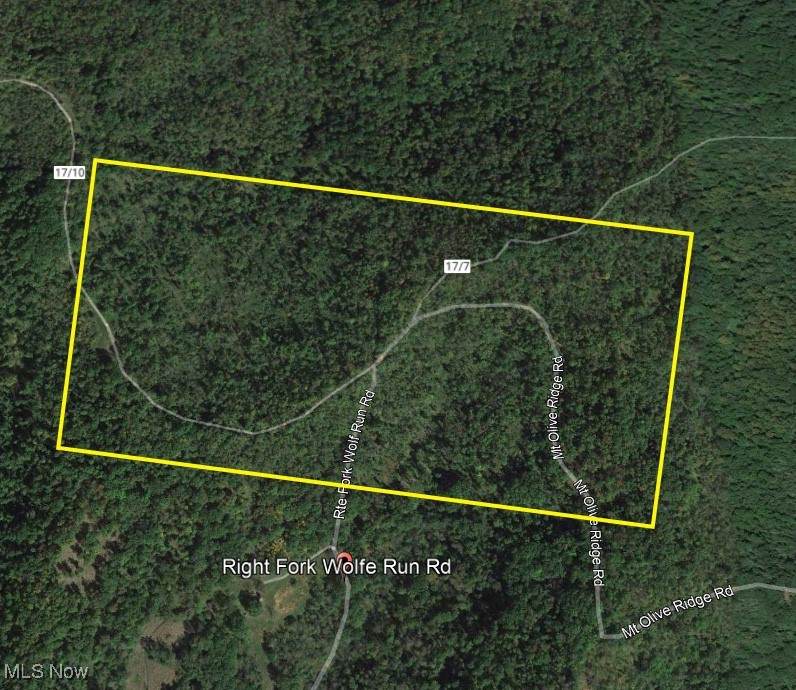  Wolfe Run Road - Photo 1