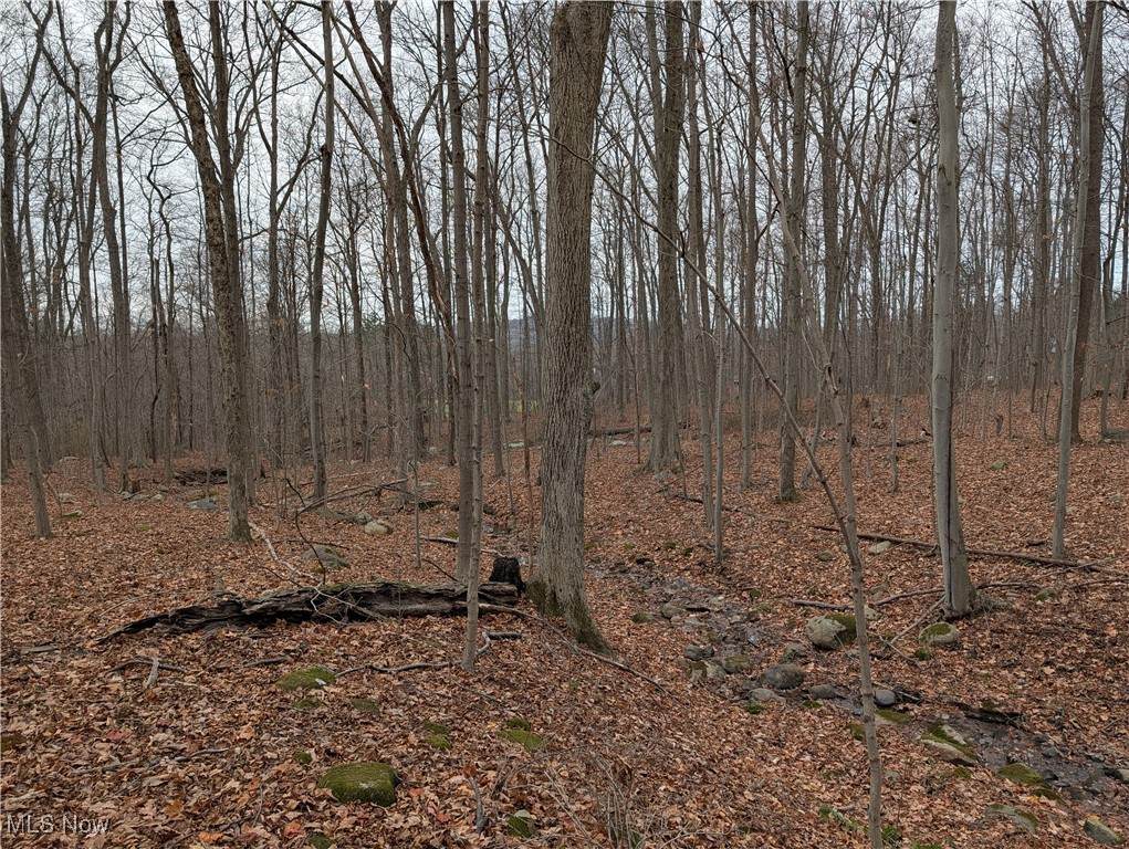  Thwing Road - Photo 1