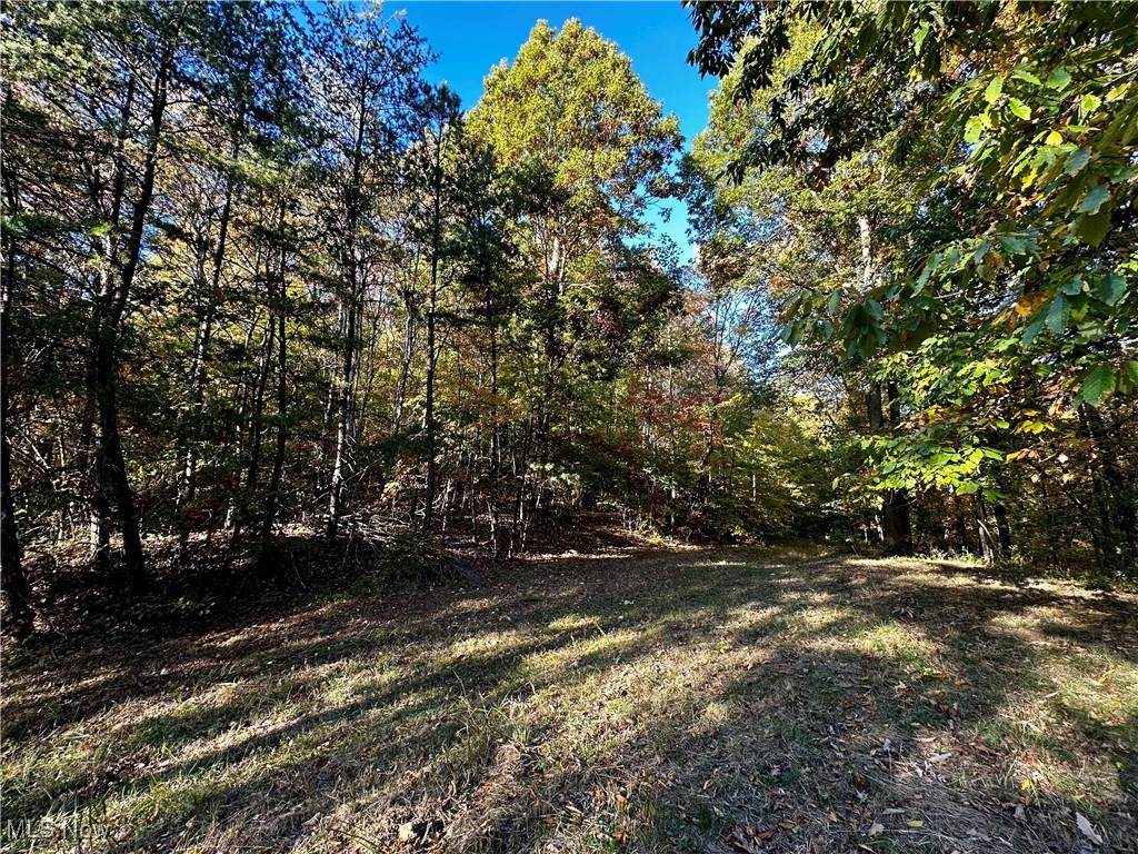  County Line Road - Photo 1