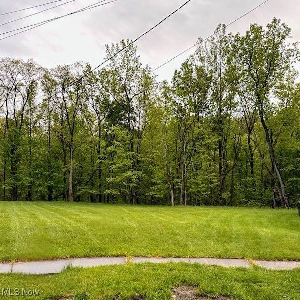 6569 Pau Pau Court - Photo 1