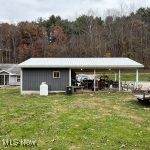 35604 Paw Paw Road - Photo 2
