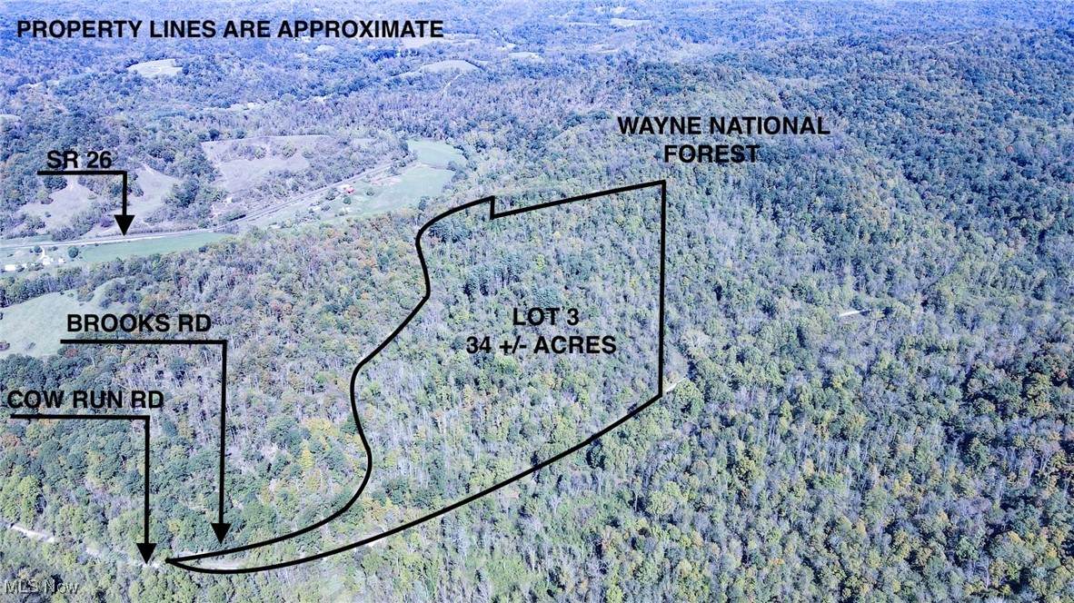 Lot 3 Brooks Road - Photo 1