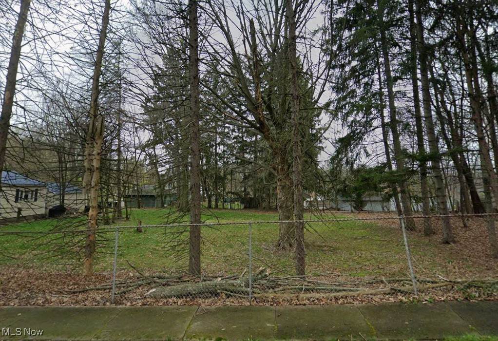 Lot 1 Burbank Avenue - Photo 1