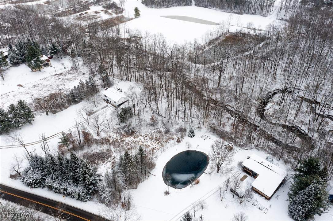  V/L River Styx Road - Photo 1