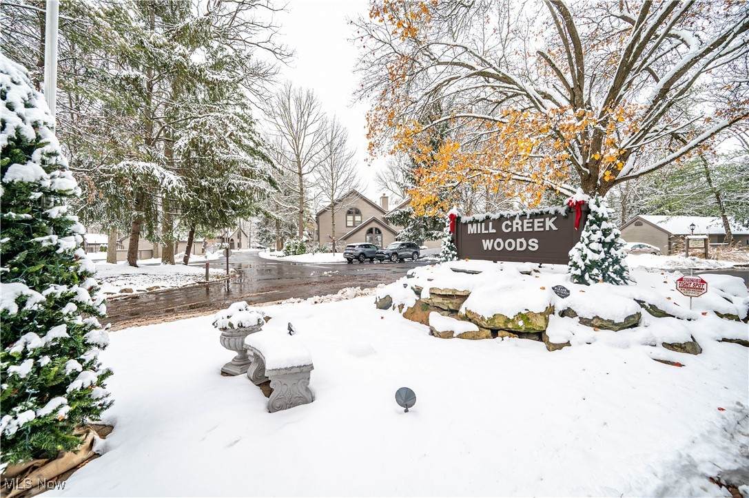 1173 Red Tail Hawk Court - Photo 1