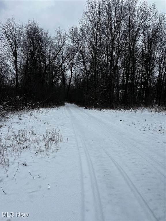 3047 Cannon Road - Photo 1