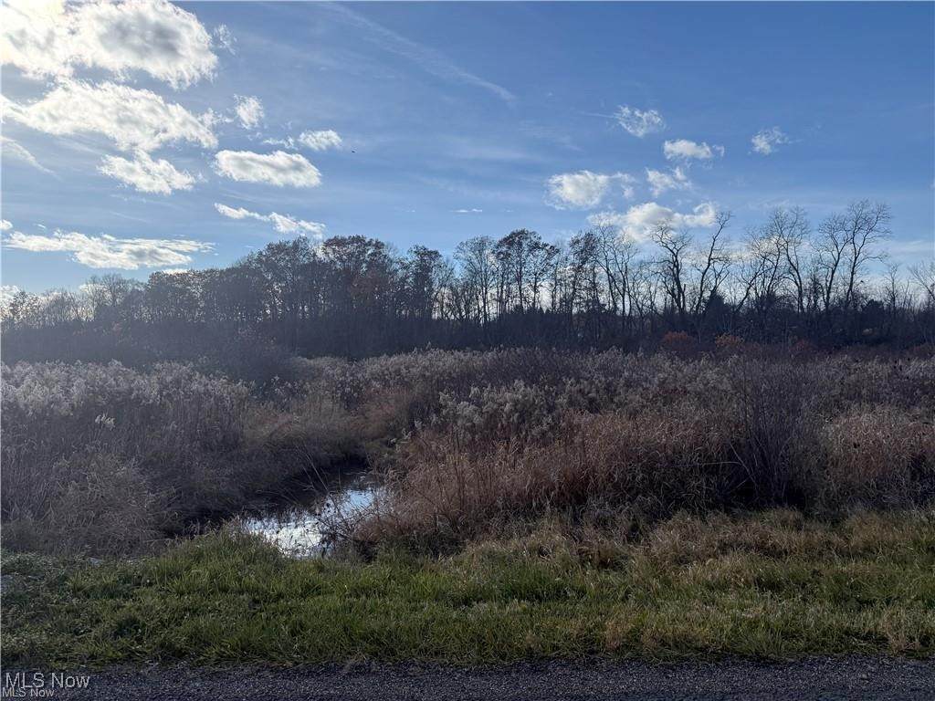 5089 Bayard Street - Photo 1