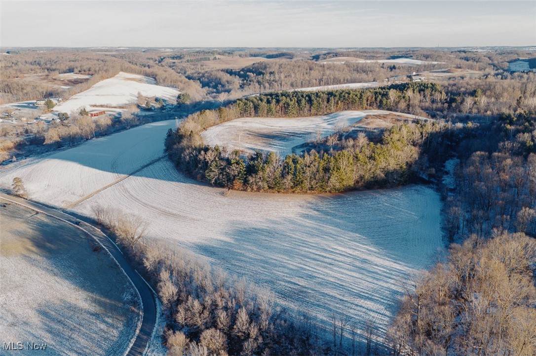 11160 Trinity Church Road - Photo 1