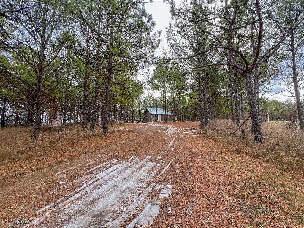 0 Oakland Church Road - Photo 1