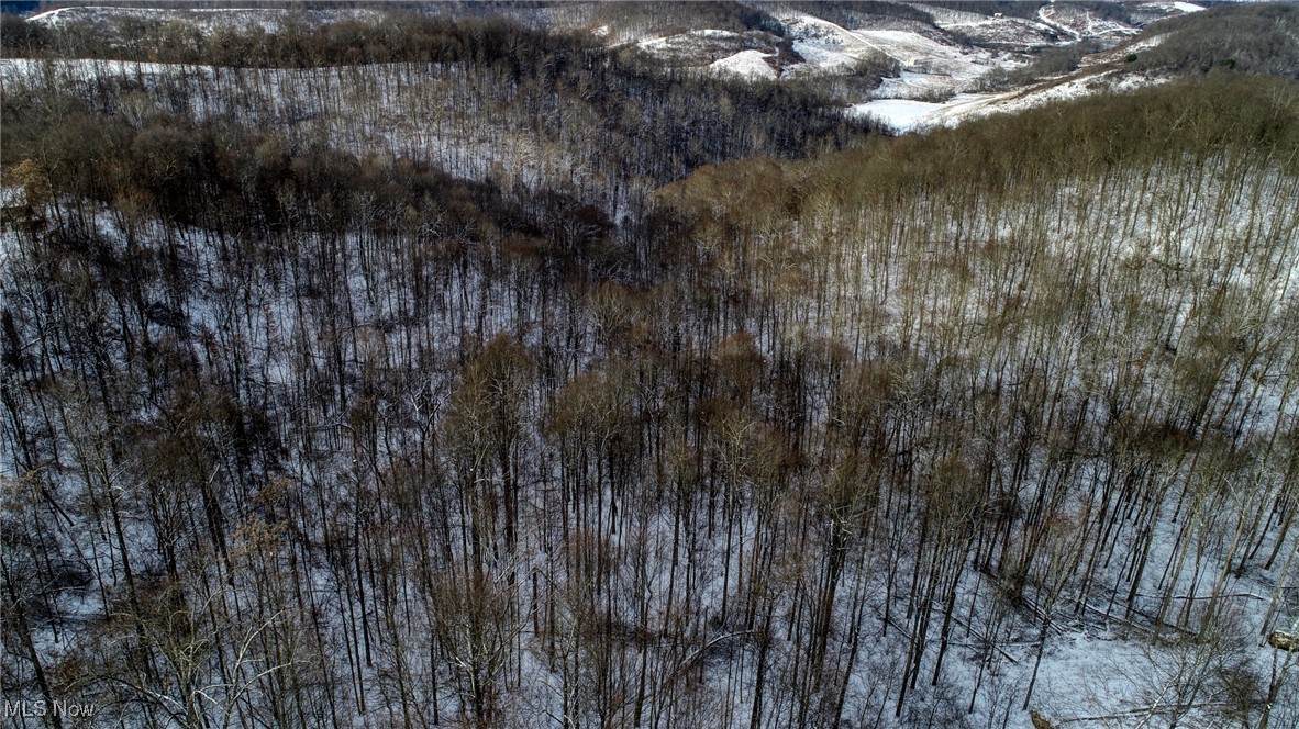 0 Euga Road - Photo 1