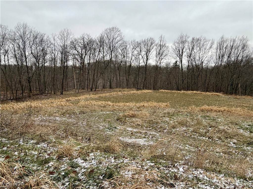 0 Sealover Hollow Road - Photo 1