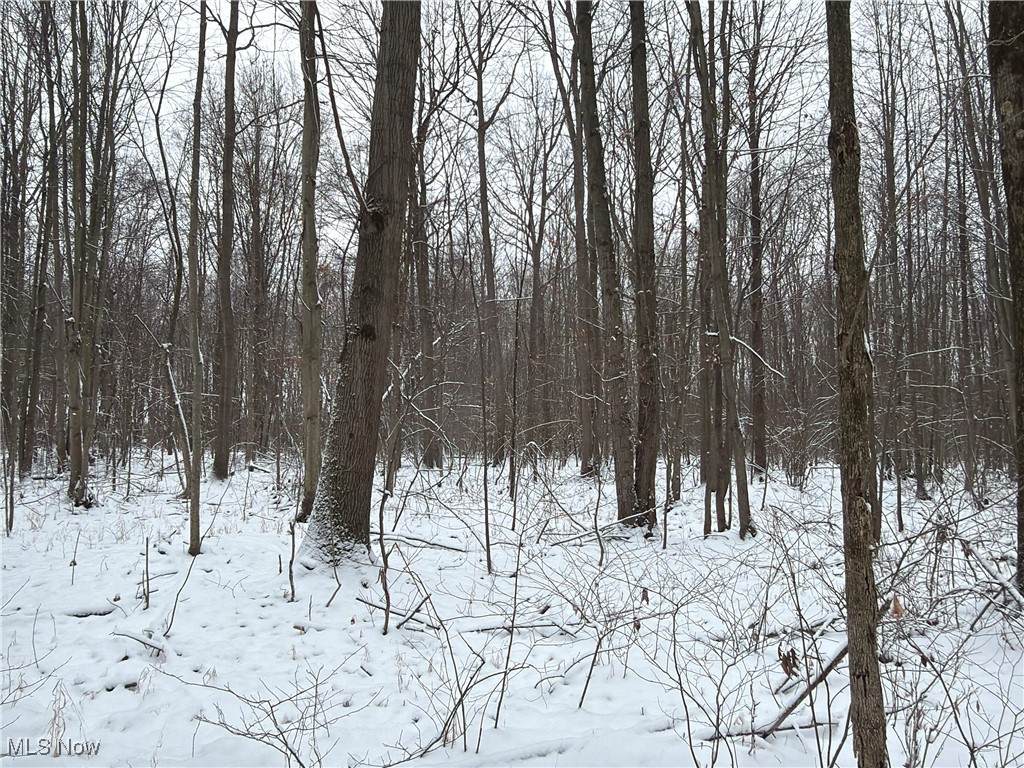  Akins Road - Photo 1