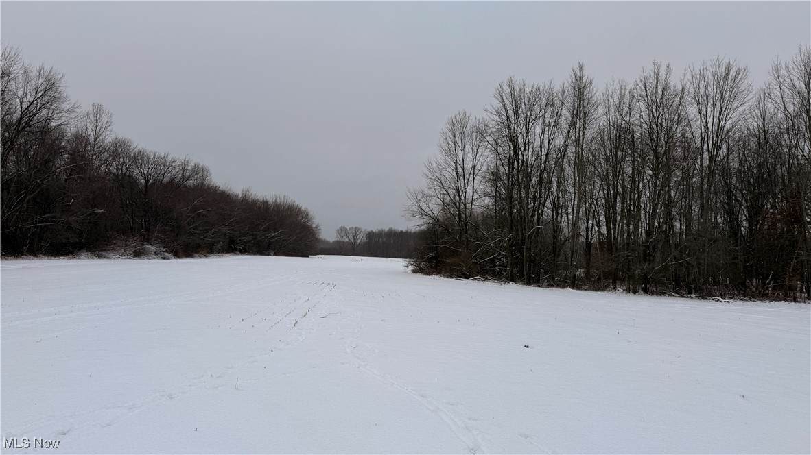  St. Rt. 82 - Photo 1