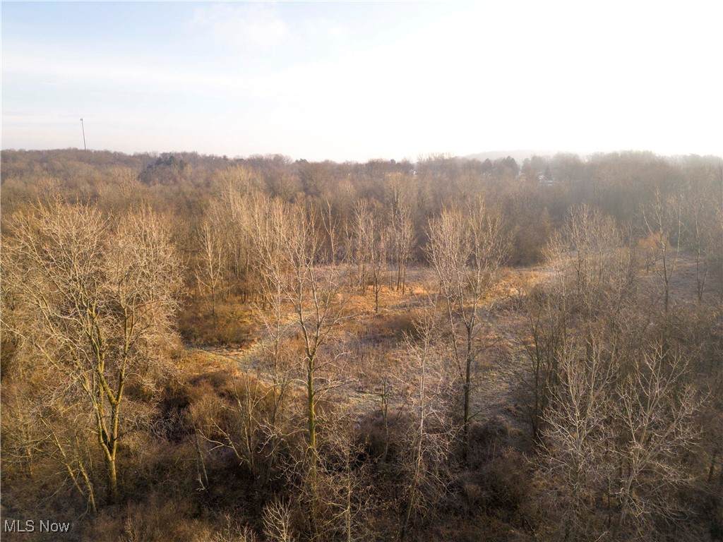 1100 Lantz Avenue - Photo 1