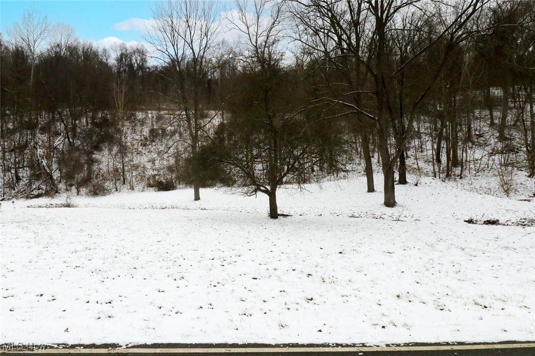 0 Deep Run Road - Photo 1