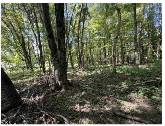  Whittlesey Road - Photo 1