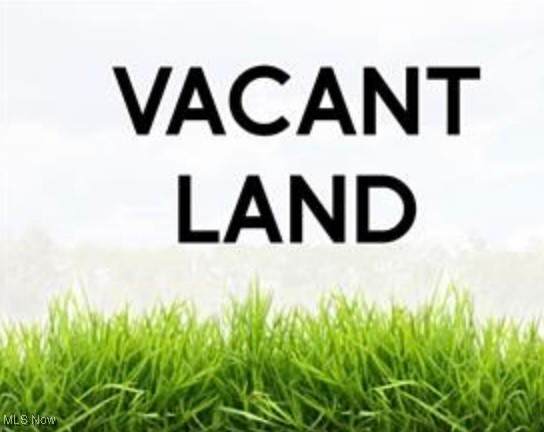 VL 050-051 Willow Street - Photo 1