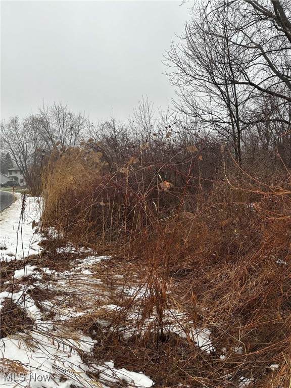  Appaloosa Trl - Photo 1