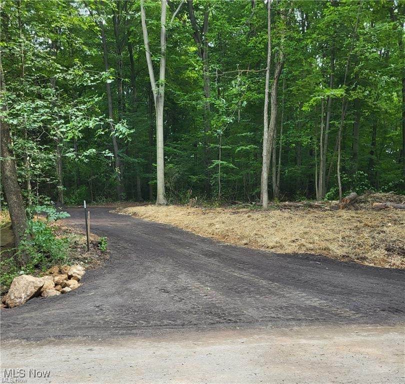 13561 Colony Lane - Photo 1