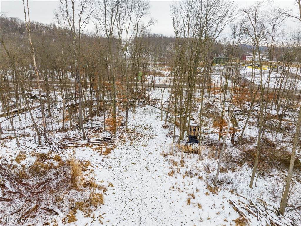  Citrus Road - Photo 1