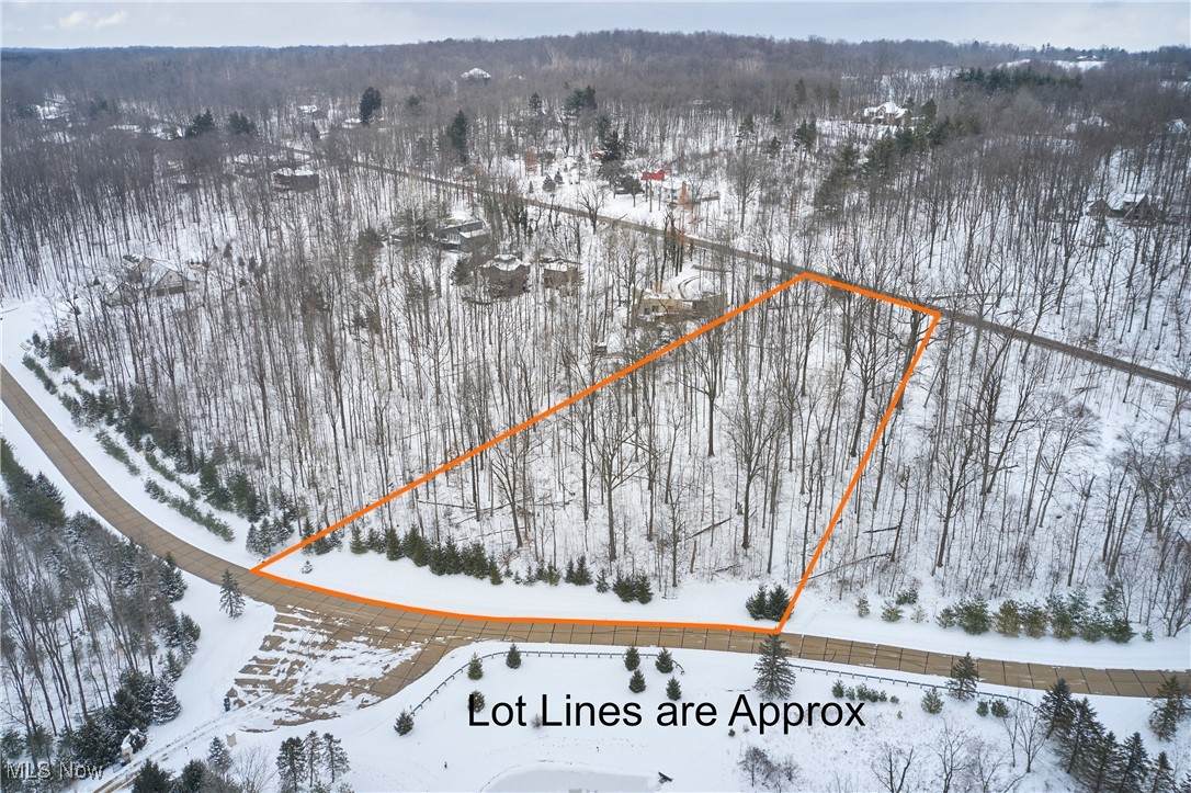 V/L 1131 River Valley Trail - Photo 1