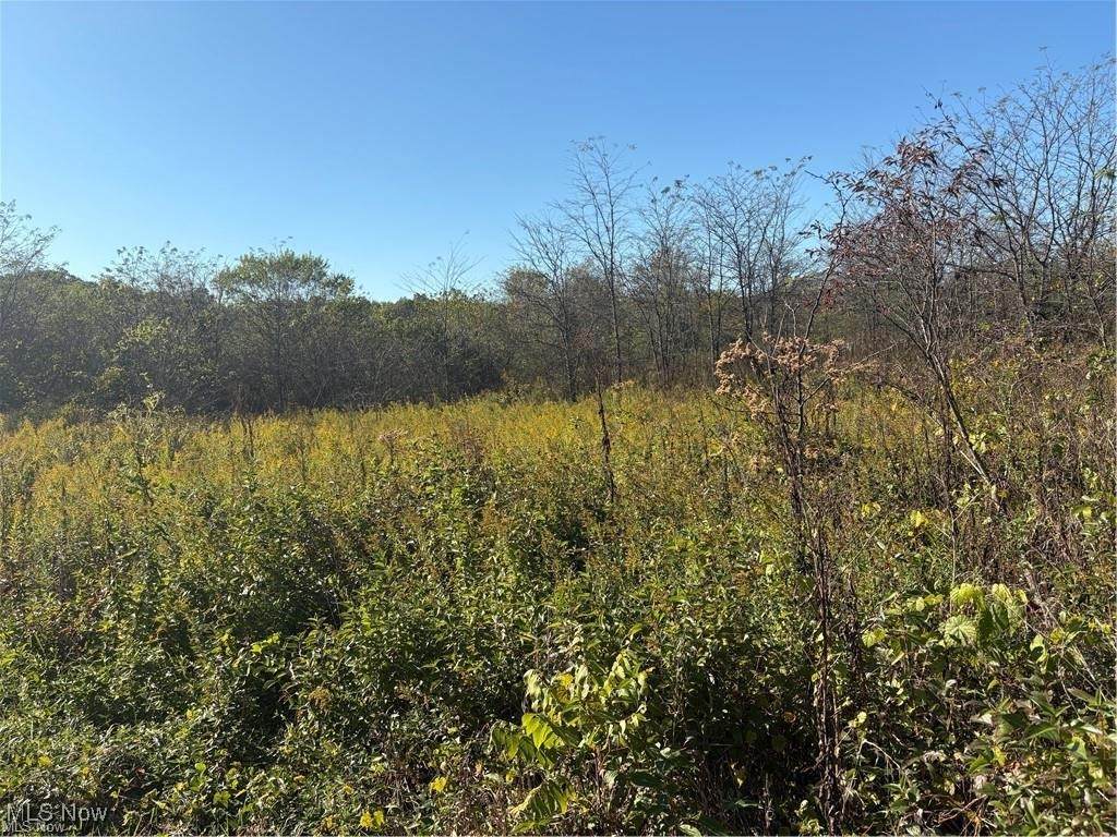  Wheeling Rd - Photo 1