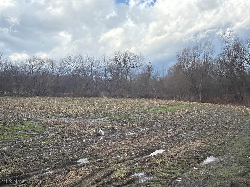 4055 Riverdale Road - Photo 1