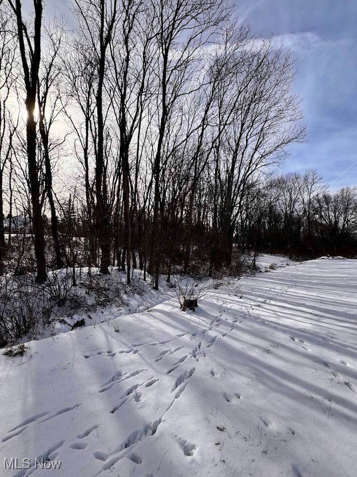 V/L Hartman Road - Photo 1