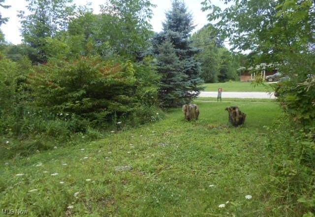 VL Shurmer Road - Photo 1