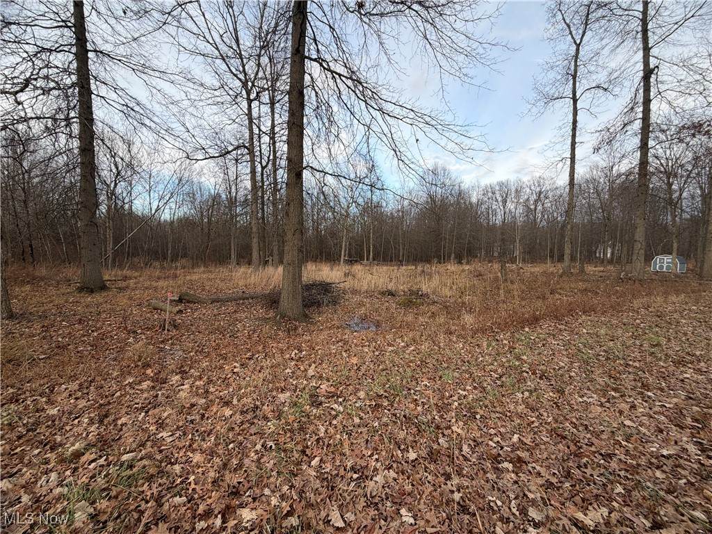  Nevada Avenue - Photo 1