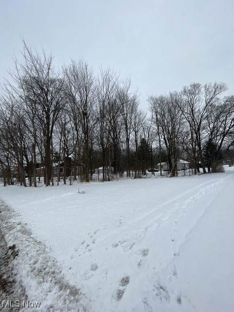  West Hedgewood - Photo 1