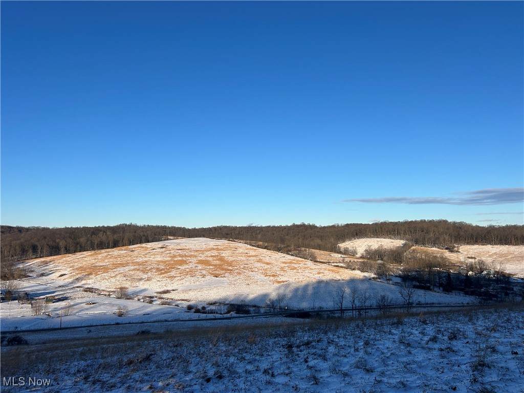  Jug Run Rd - Photo 1